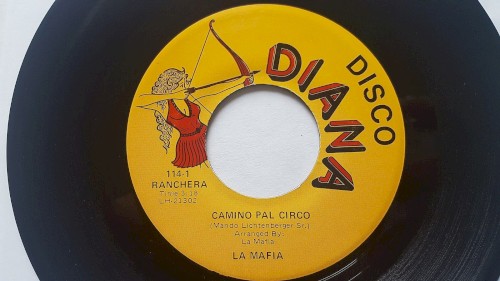 Camino pal circo / El Lion