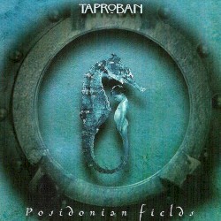Posidonian Fields