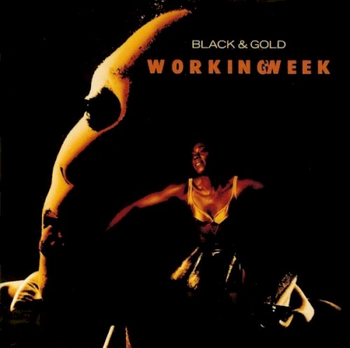 Black & Gold