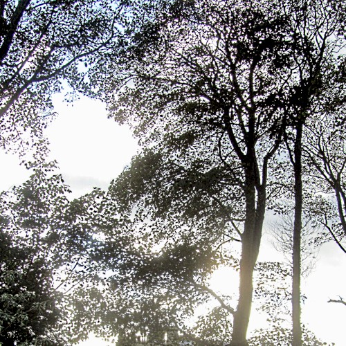 through scattered light