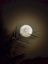 OBORO NIGHT