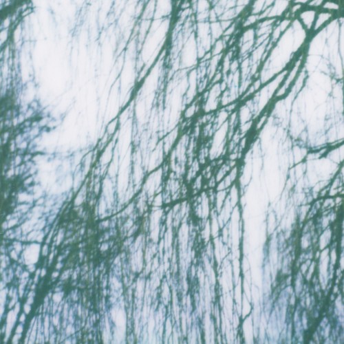 landscape 02