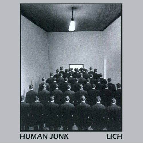 Split w/ Human Junk