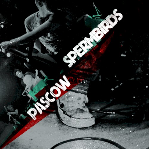 Pascow / Spermbirds