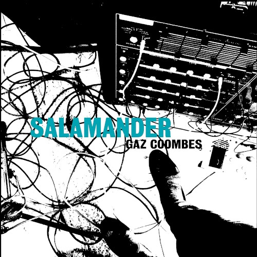 Salamander