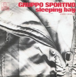 Sleeping Bag