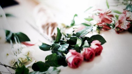 The Flowers