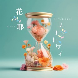 スナドケイ