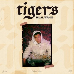 Tigers