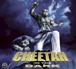 Cheetah in the Dark