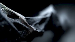 Singularity