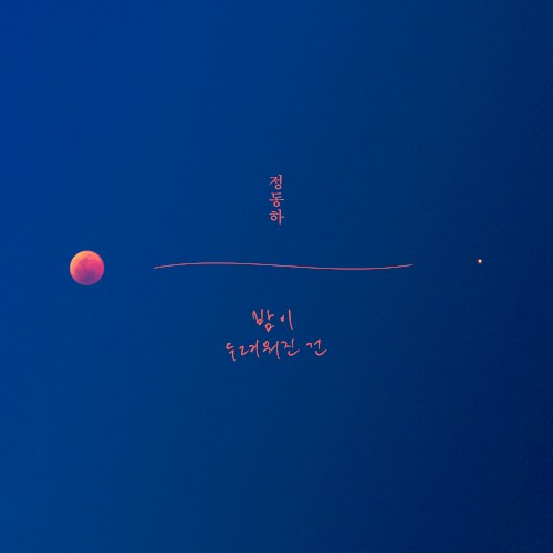 밤이 두려워진 건