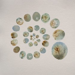 Sample the Earth