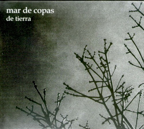 De tierra