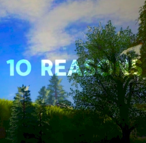 10 REASONS