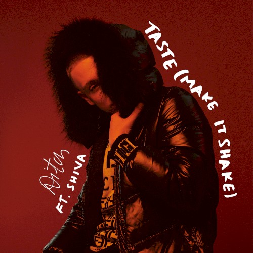 Taste (Make It Shake) (Remix) (feat. Shiva)