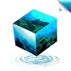 【Ｆｕｔｕｒｅ Ａｑｕａｒｉｕｍｓ ＬＴＤ】