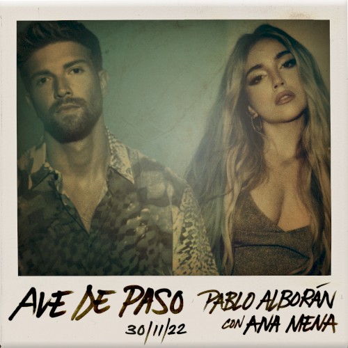 Ave de paso