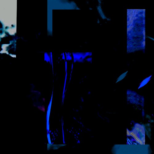 Silent Presence