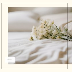 Sheets