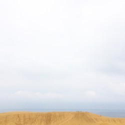 Ebb and Flow