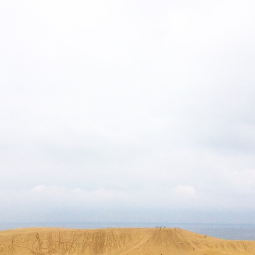 Ebb and Flow