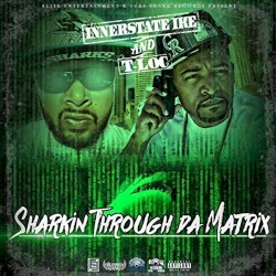 Sharkin Through da Matrix