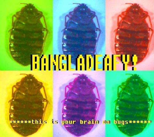 This Is Your Brain on Bugs