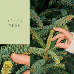 Vakre vene