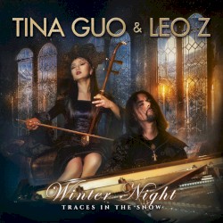 Winter Night: Traces in the Snow