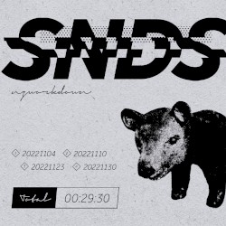 SNDS
