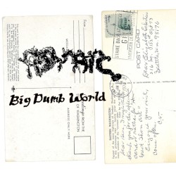 Big Dumb World
