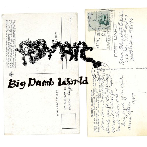 Big Dumb World