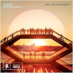 See the Sunlight