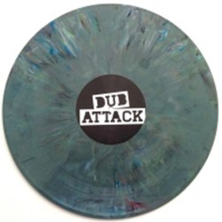 Vinyl Releases (2010-2013)