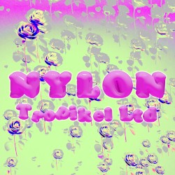 Nylon
