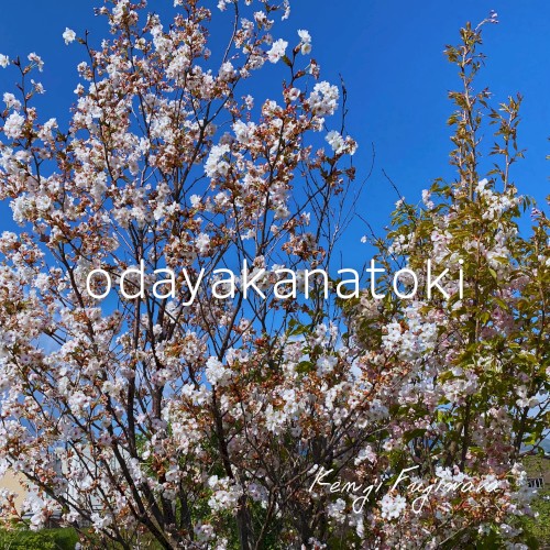 odayakanatoki