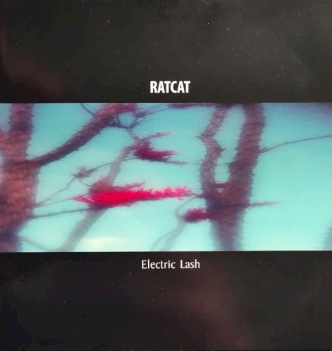 Electric Lash