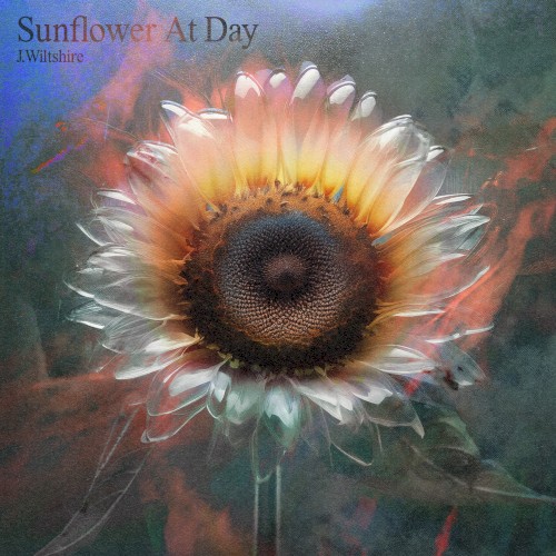 Sunflower at Day