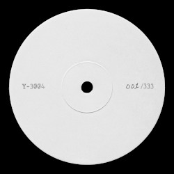 Y-3004