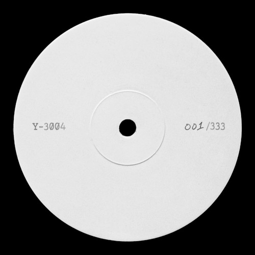 Y-3004