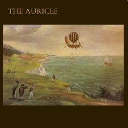 The Auricle