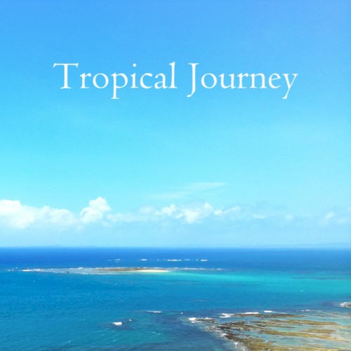 Tropical Journey