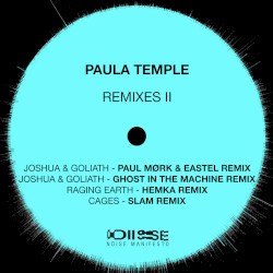 Edge of Everything REMIXES II