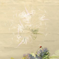 Dandelion Seeds