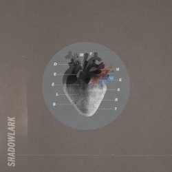 Bleed My Heart