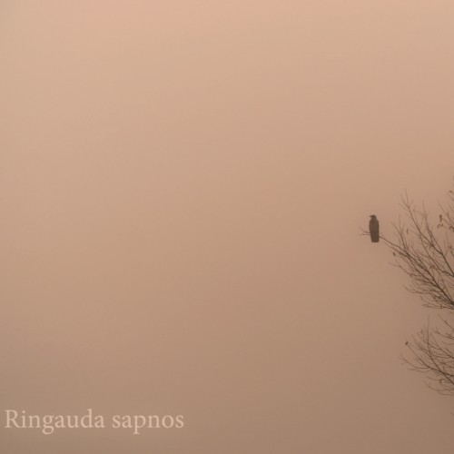 Ringauda sapnos