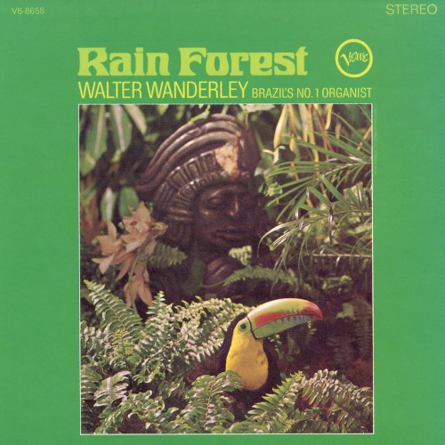 Rain Forest