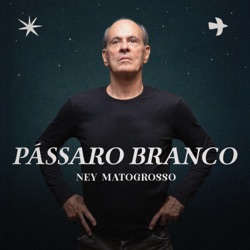 Pássaro Branco