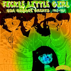 USA Garage Greats 1965-1967: Vol. 34: Fickle Little Girl